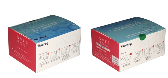 Essai jetable Kit Virus Sampling For Covid-19 de 3ML VTM