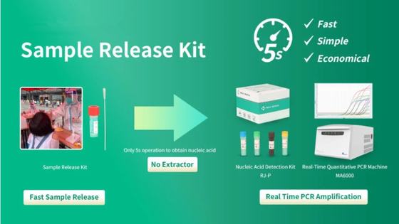 Approbation rapide de FDA de réactif de libération d'ADN de kit d'essai d'ACP d'échantillon de virus