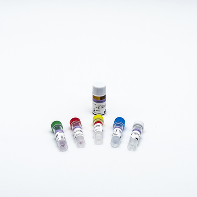 Essais Kit High Reliablity Medical du kit 48 de réactif d'ACP d'ARN d'ADN