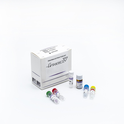 Essai/boîte rapides en temps réel des kits 48 d'essai d'ACP de l'amplification droite